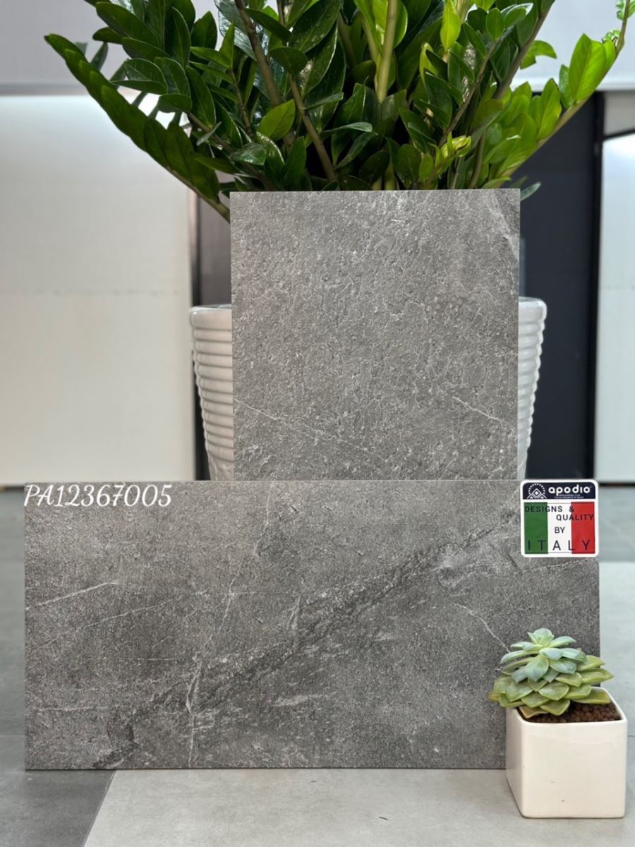Gạch ốp lát 30x60 Apodio PA12367005 10