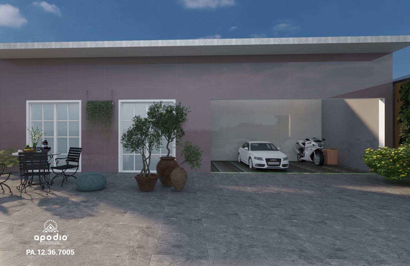 Gạch ốp lát 30x60 Apodio PA12367005 12