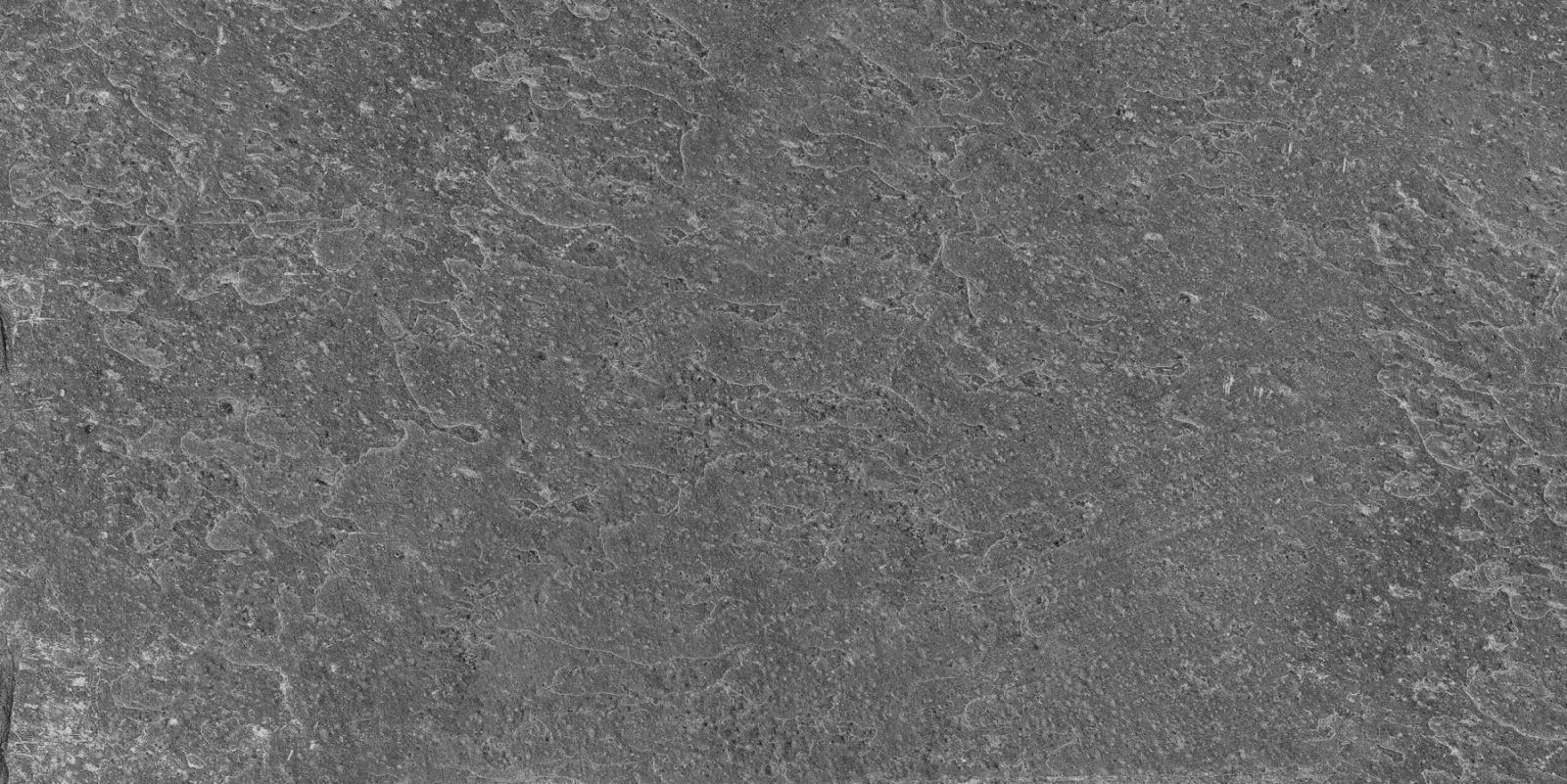 Gạch ốp lát 30x60 Apodio PA12367005 6