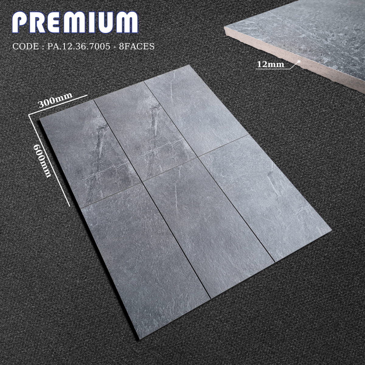 Gạch ốp lát 30x60 Apodio PA12367005 9