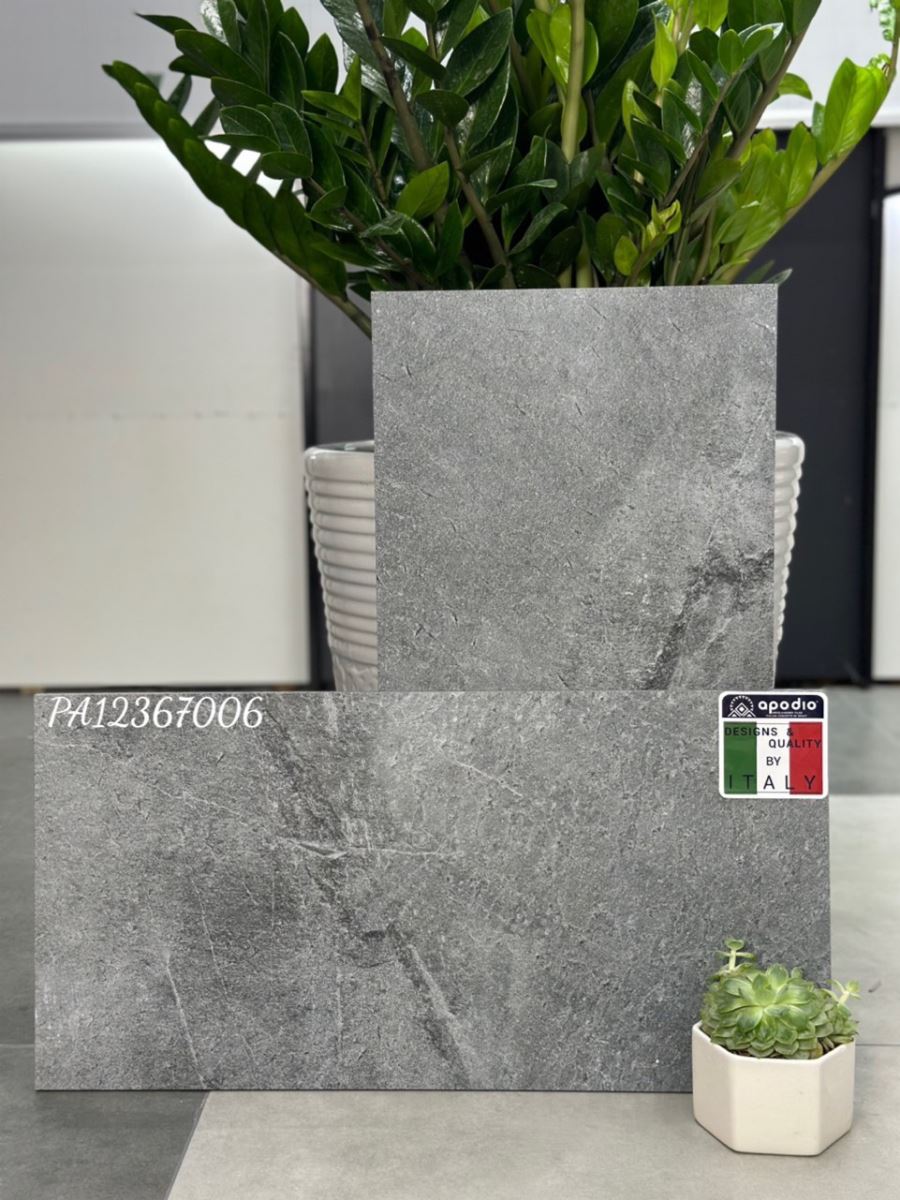 Gạch ốp lát 30x60 Apodio PA12367006 10