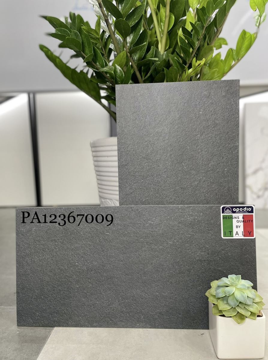 Gạch ốp lát 30x60 Apodio PA12367009 10