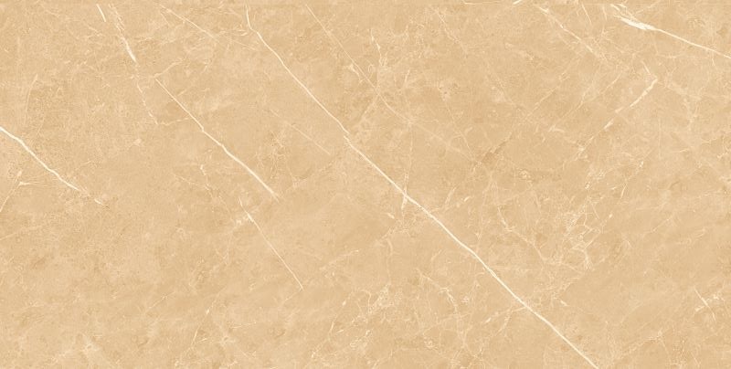 Gạch ốp lát 30x60 Apodio TY809 - TY909D - TY909 2