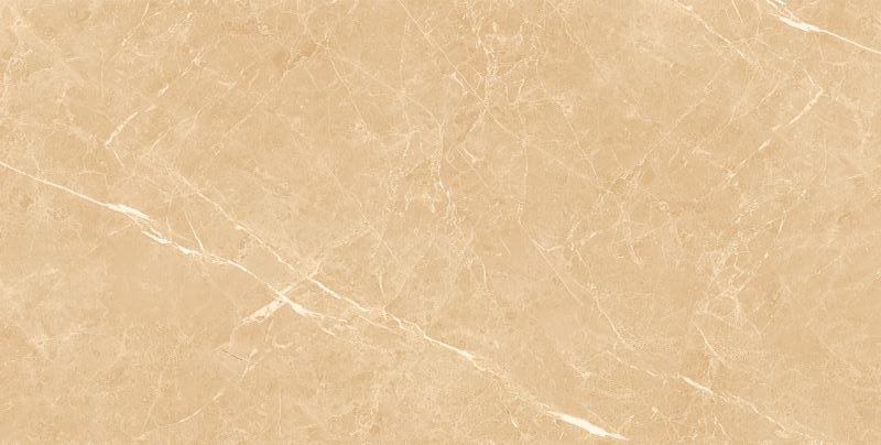 Gạch ốp lát 30x60 Apodio TY809 - TY909D - TY909 3