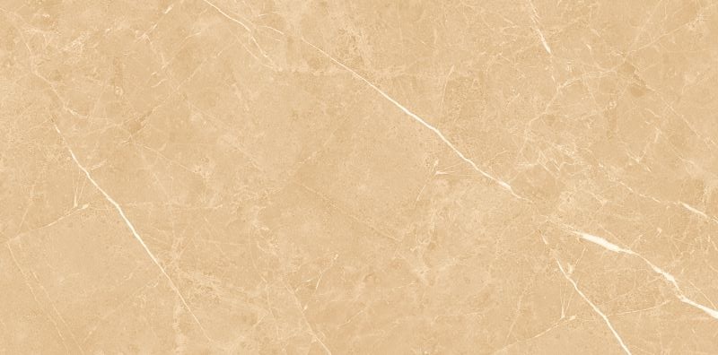 Gạch ốp lát 30x60 Apodio TY809 - TY909D - TY909 4