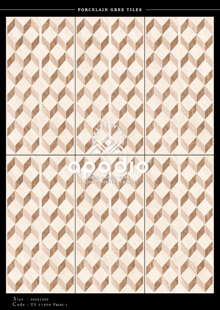 Gạch ốp lát 60x120 Apodio US31906D 2