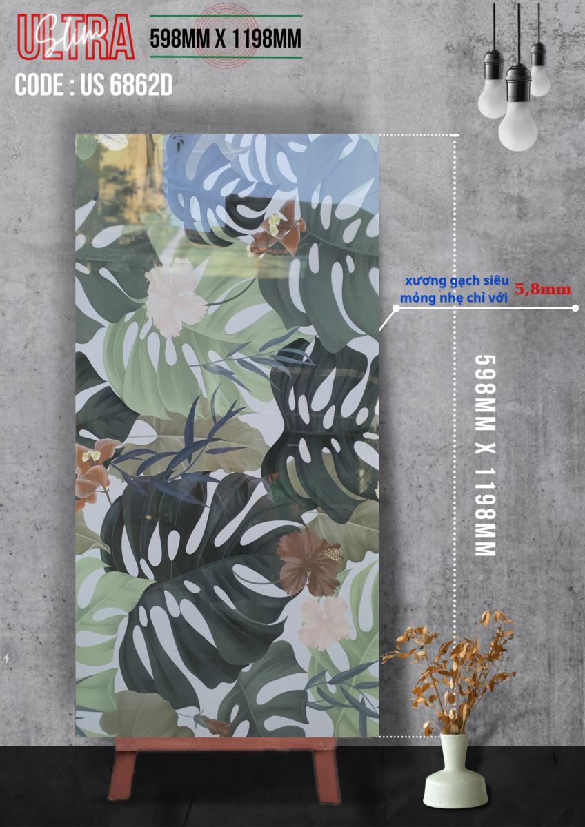 Gạch ốp lát 60x120 Apodio US6862D