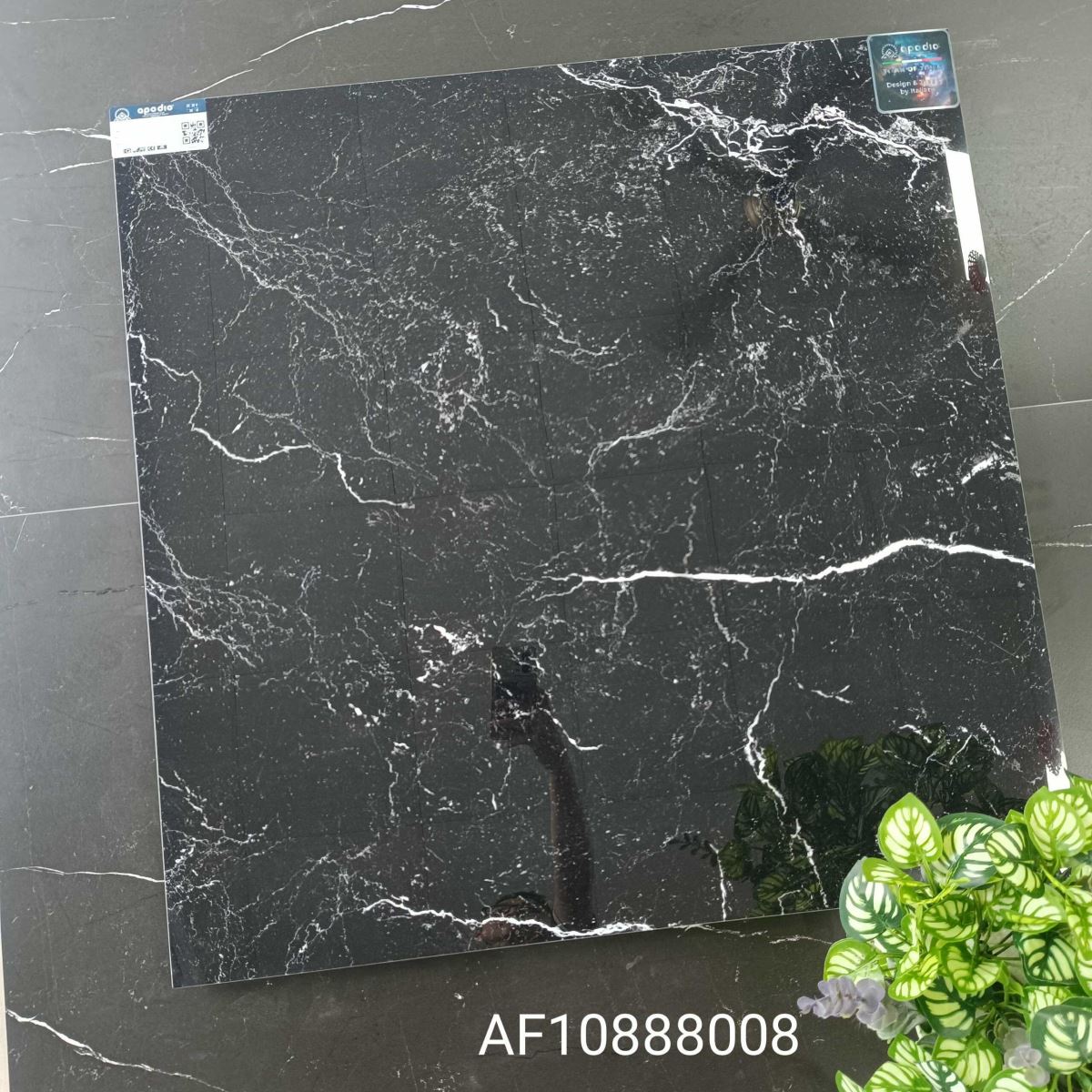 Gạch ốp lát 80x80 Apodio AF10888008