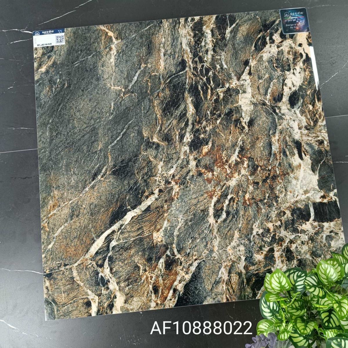 Gạch ốp lát 80x80 Apodio AF10888022