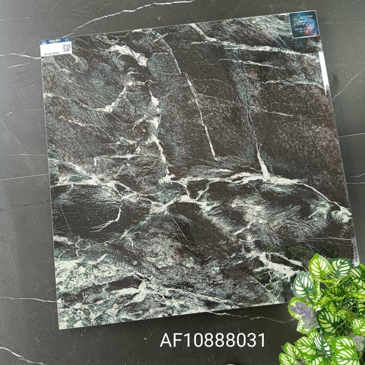 Gạch ốp lát 80x80 Apodio AF10888031
