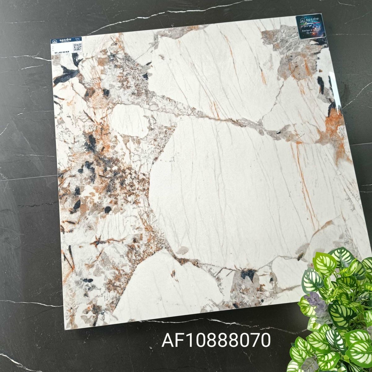 Gạch ốp lát 80x80 Apodio AF10888070