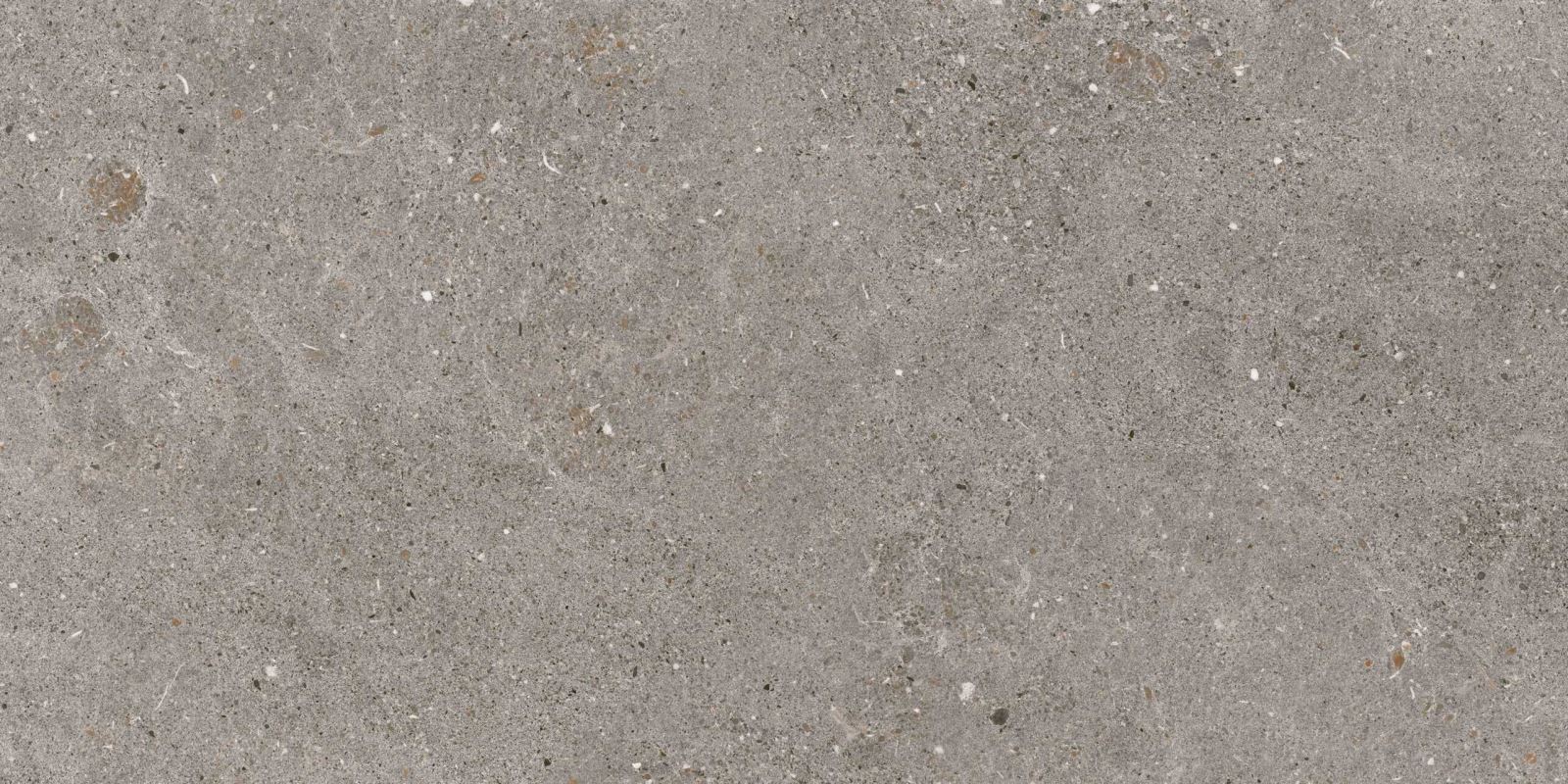 Gạch ốp lát 80x160 Apodio AF12866605 f3