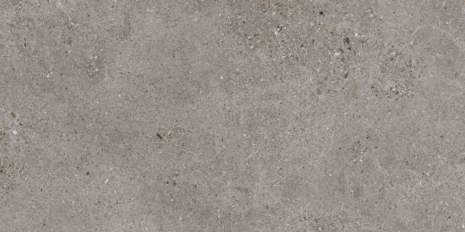 Gạch ốp lát 80x160 Apodio AF12866605 f4