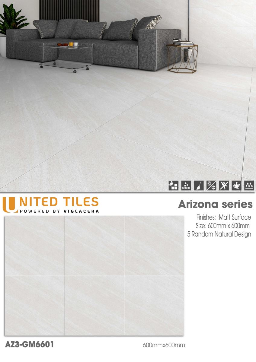 Gạch ốp lát 60x60 Viglacera Arizona AZ3-GM6601 7