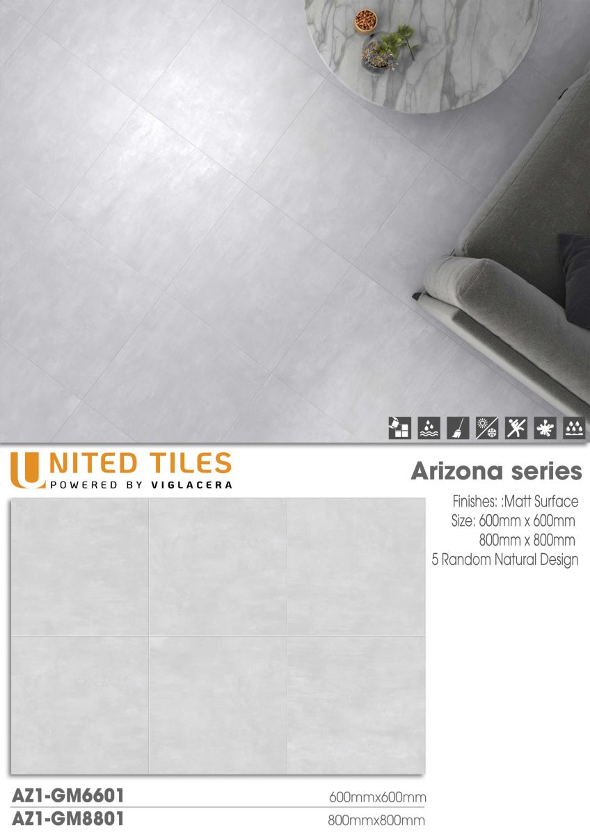 Gạch ốp lát 60x60 Viglacera Arizona AZ1-GM6601 6