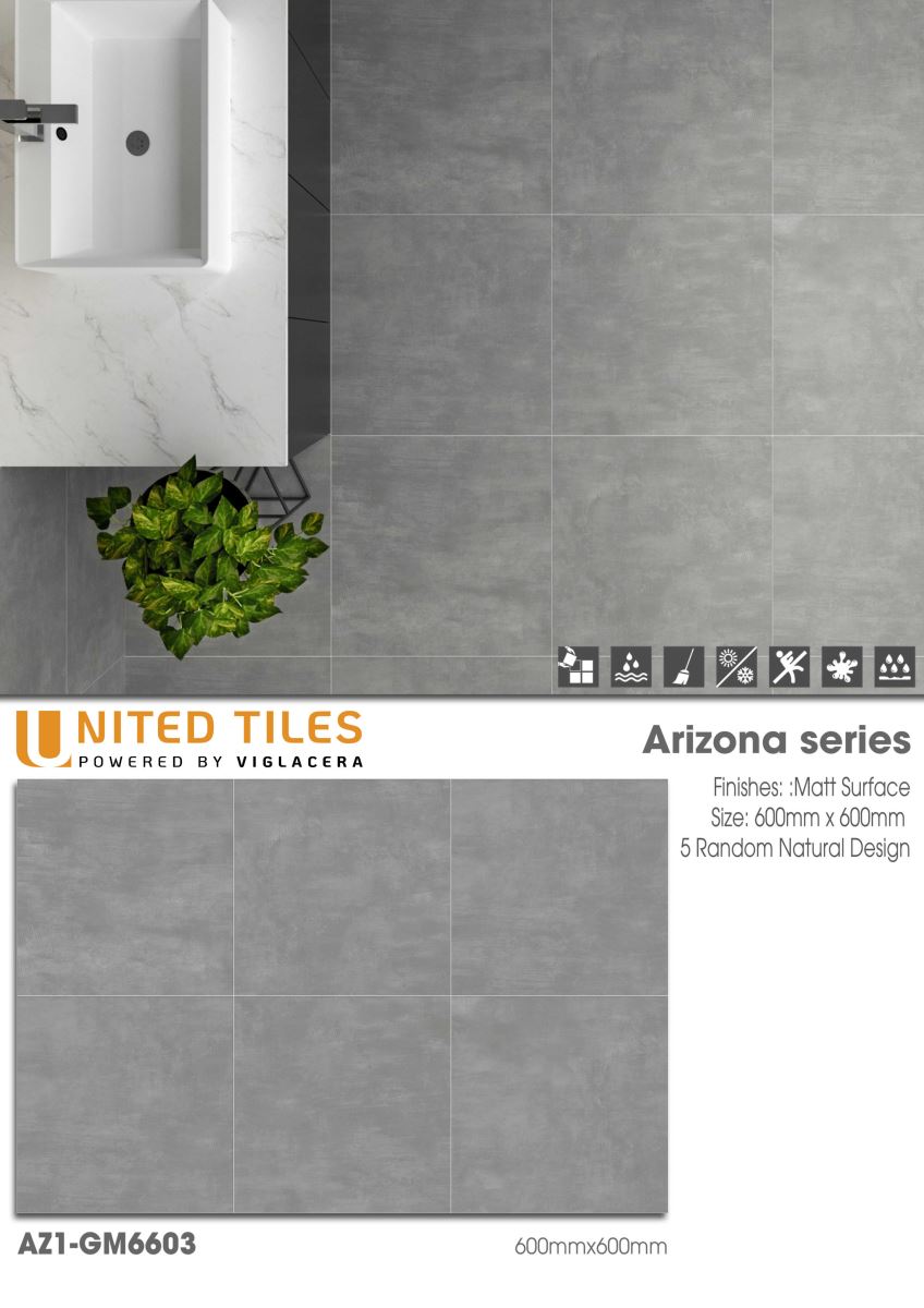 Gạch ốp lát 60x60 Viglacera Arizona AZ1-GM6603 8