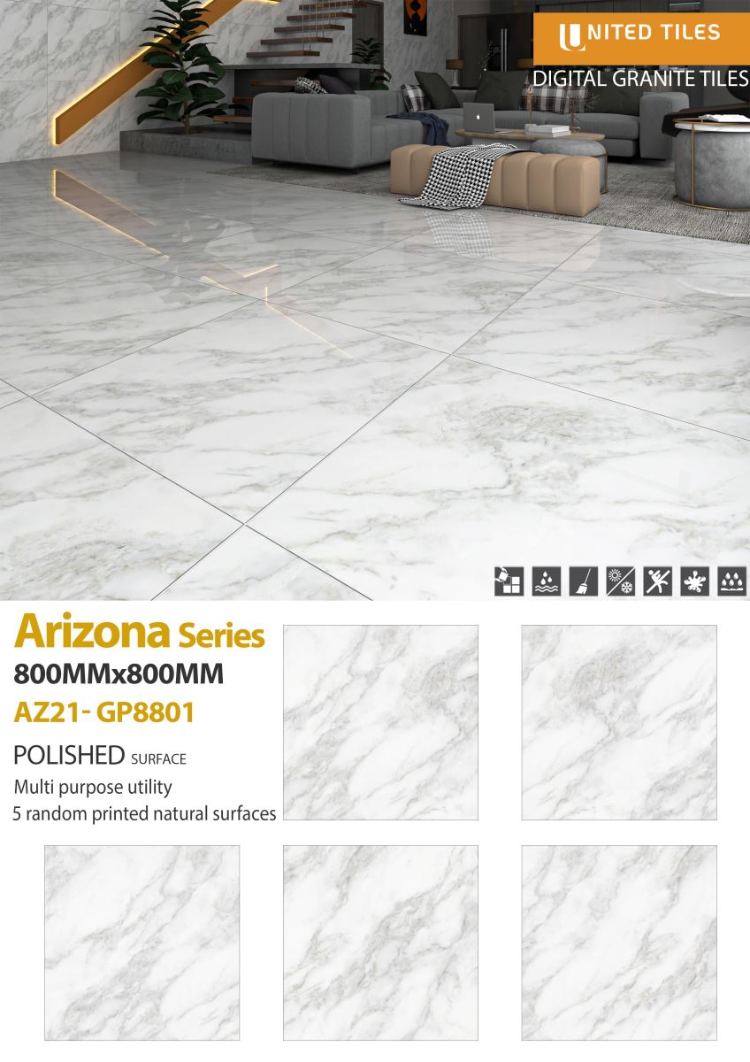 Gạch ốp lát 80x80 Viglacera Arizona AZ21-GP8801 6