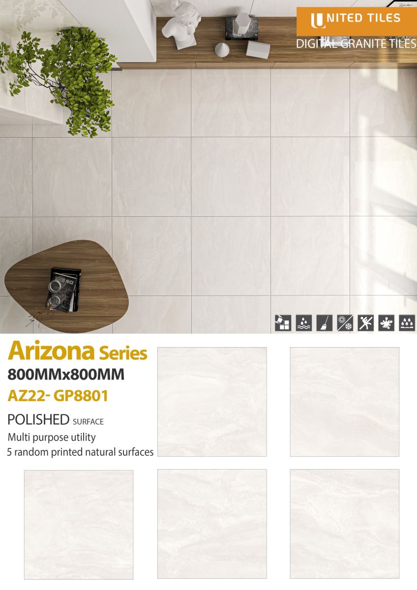 Gạch ốp lát 80x80 Viglacera Arizona AZ22-GP8801 6