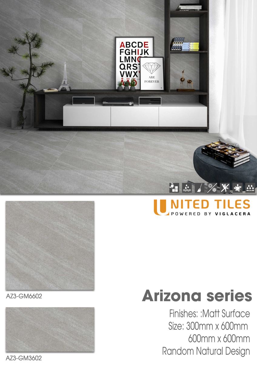 Gạch ốp lát 60x60 Viglacera Arizona AZ3-GM6602 8