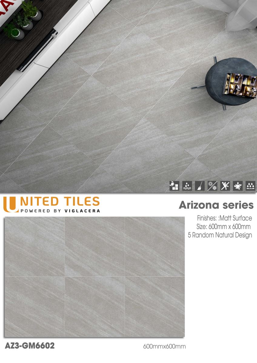 Gạch ốp lát 60x60 Viglacera Arizona AZ3-GM6602 7