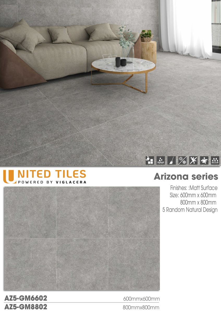 Gạch ốp lát 60x60 Viglacera Arizona AZ5-GM6602 7