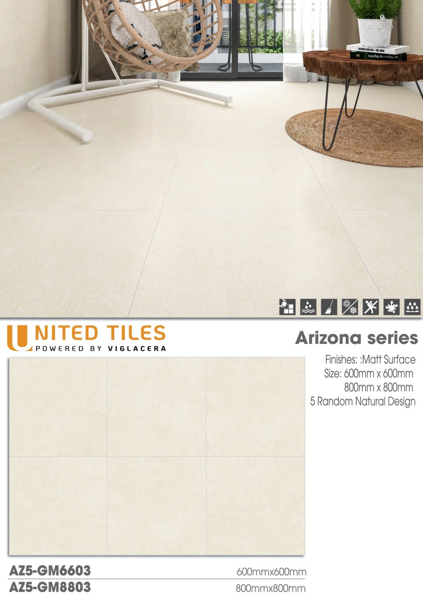 Gạch ốp lát 60x60 Viglacera Arizona AZ5-GM6603 7