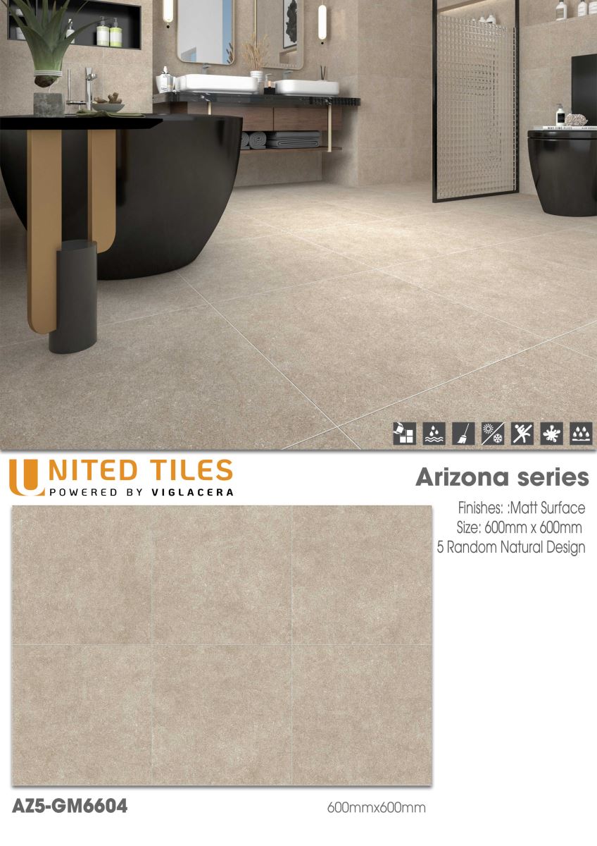 Gạch ốp lát 60x60 Viglacera Arizona AZ5-GM6604 6