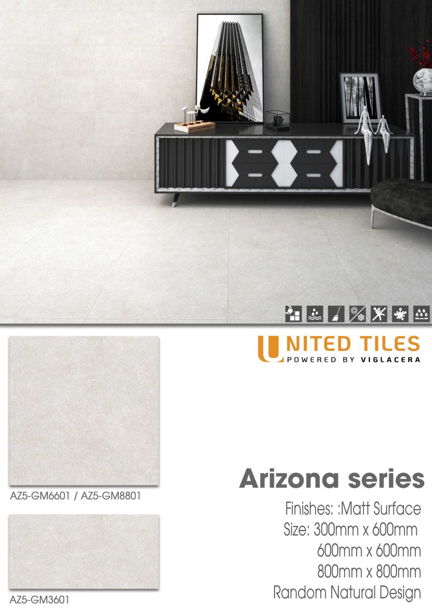 Gạch ốp lát 30x60 Viglacera Arizona AZ5-GM3601 11