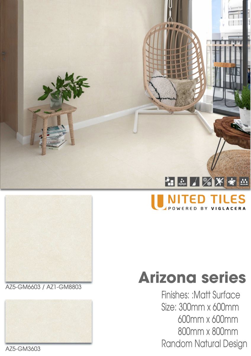 Gạch ốp lát 30x60 Viglacera Arizona AZ5-GM3603 13