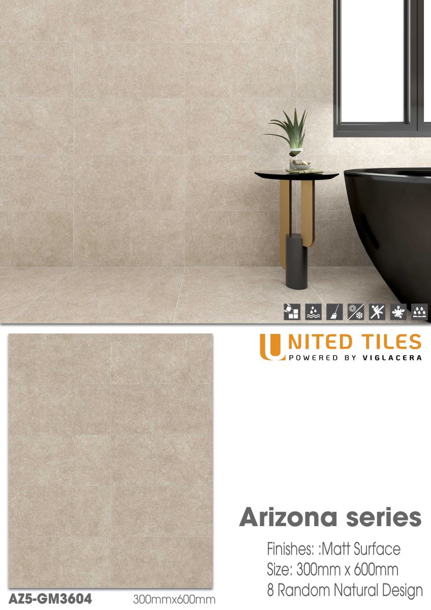 Gạch ốp lát 30x60 Viglacera Arizona AZ5-GM3604 12