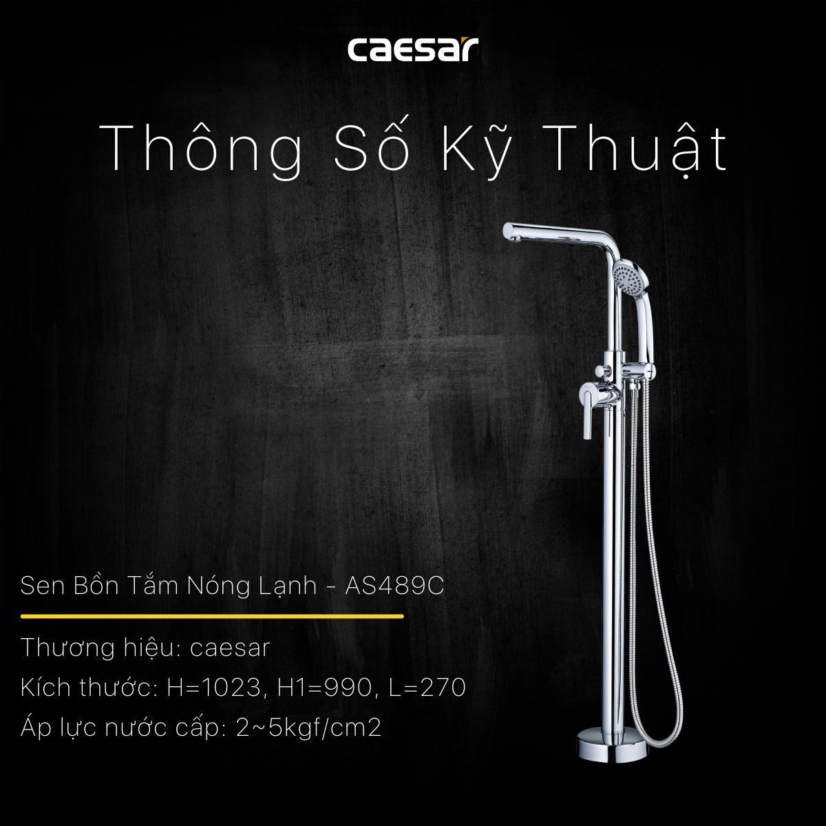 Vòi sen bồn tắm nóng lạnh Caesar AS489C 10