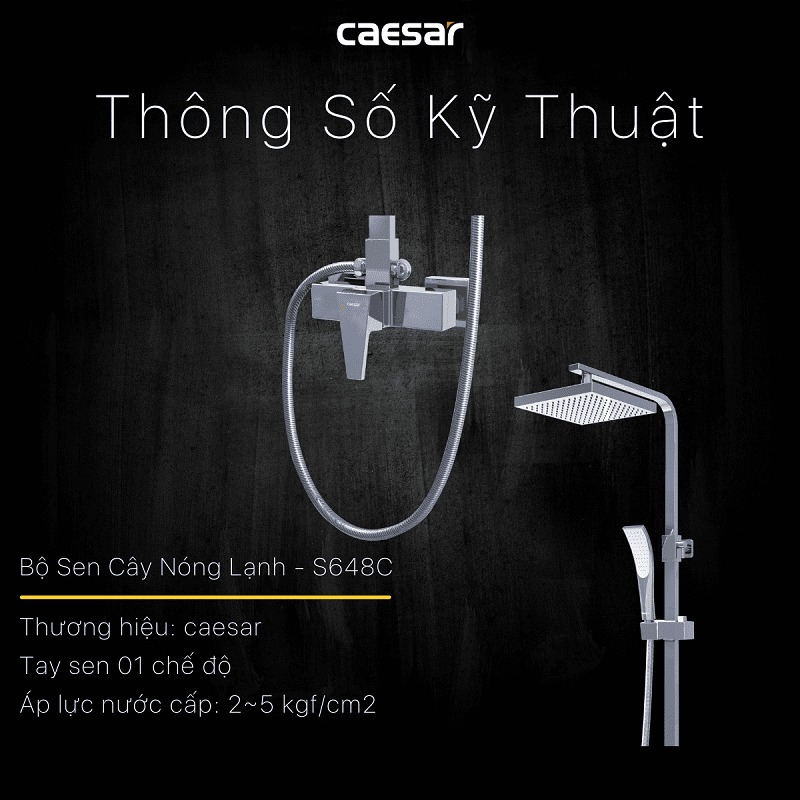 Bộ Vòi Sen Đứng Nóng Lạnh CAESAR S648C 4