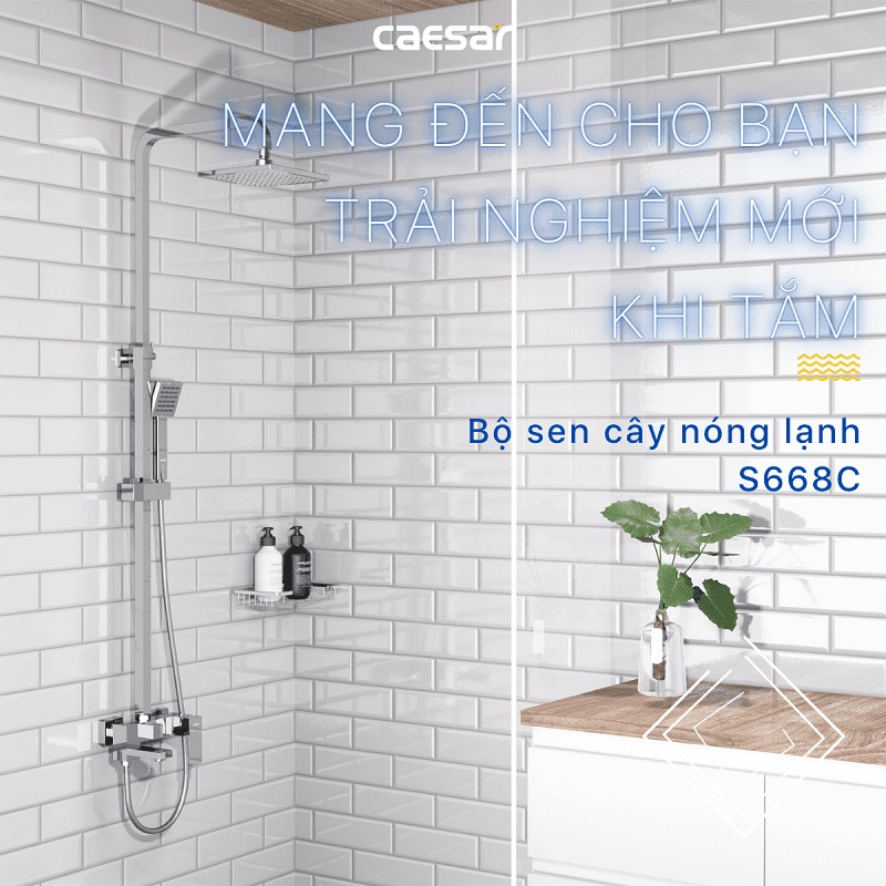 Bộ Vòi Sen Cây Nóng Lạnh CAESAR S668C 2