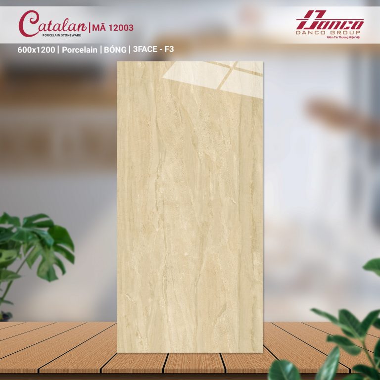 Gạch ốp lát Catalan 12003 2