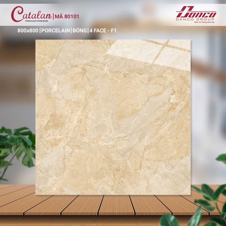 Gạch lát nền Catalan 80101