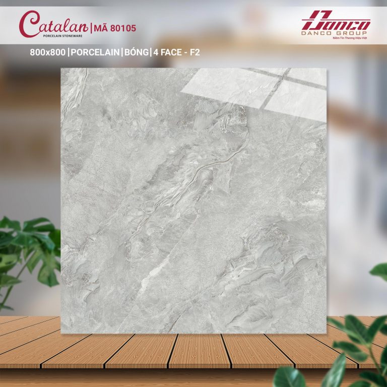 Gạch lát nền Catalan 80105 f2