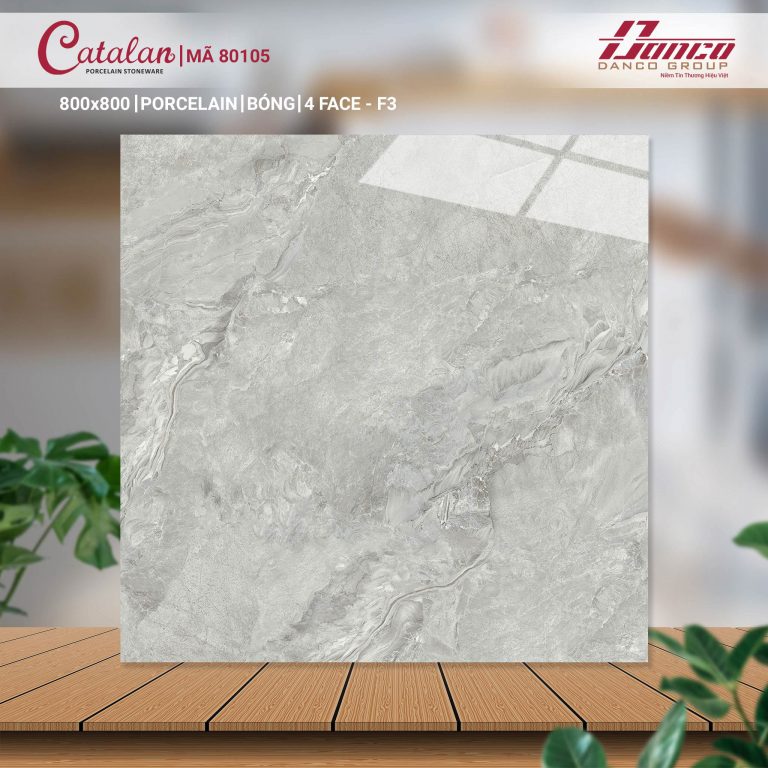 Gạch lát nền Catalan 80105 f3