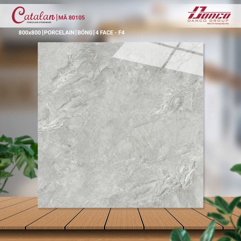 Gạch lát nền Catalan 80105 f4