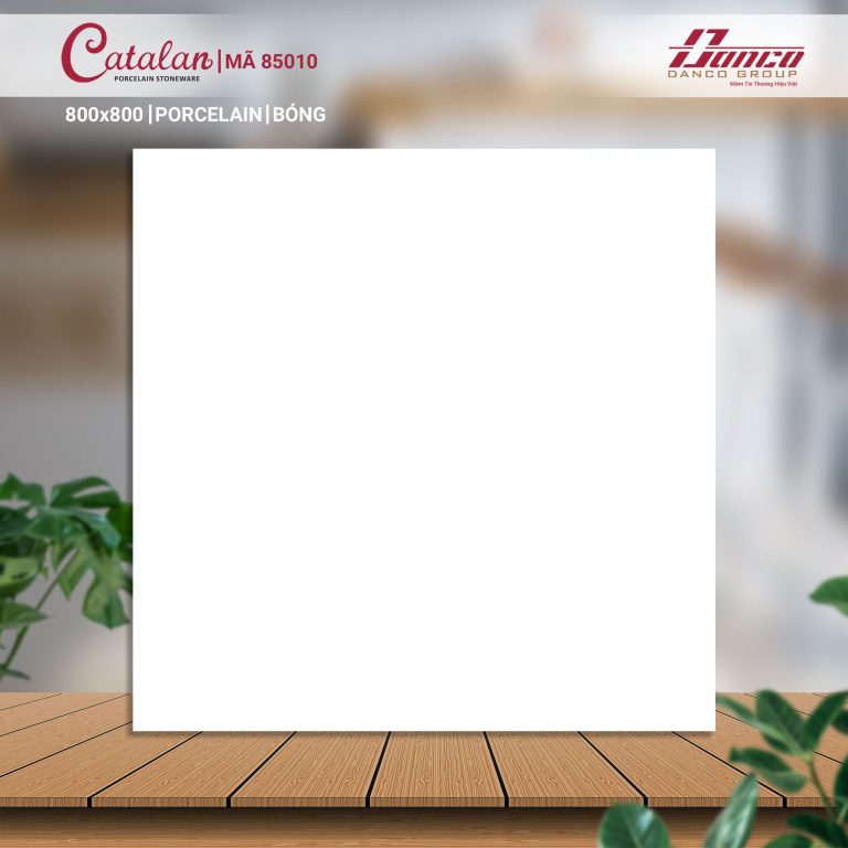 Gạch lát nền Catalan 85010