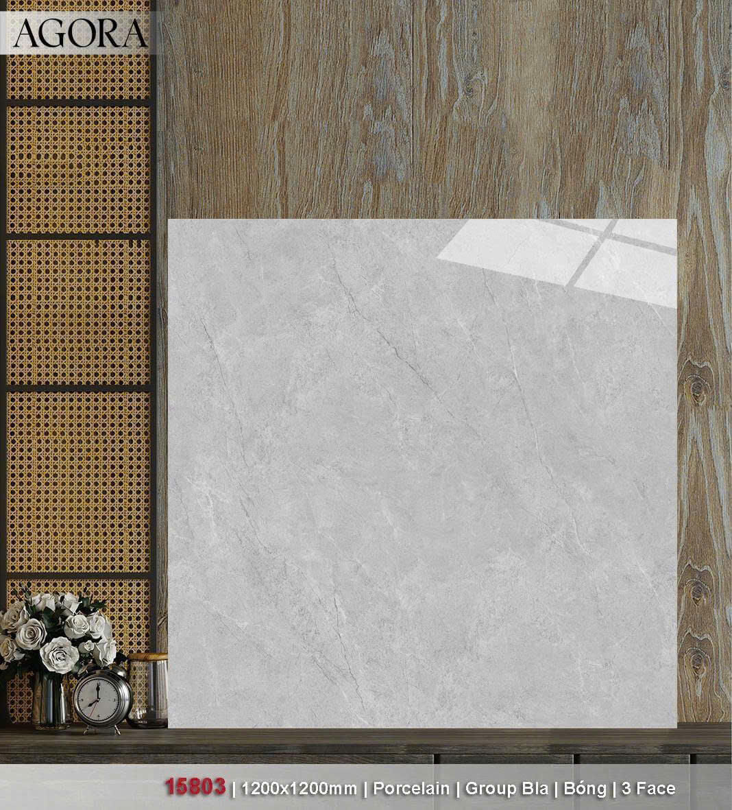 Gạch lát nền Catalan 12013 2