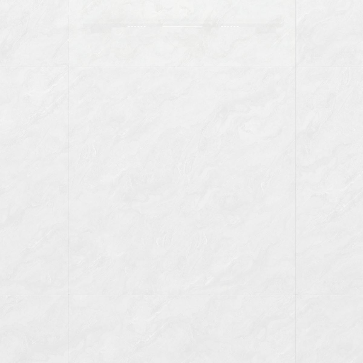 Gạch Đồng Tâm 100x100 kháng khuẩn 100DONGVAN001-FP-H+ 6