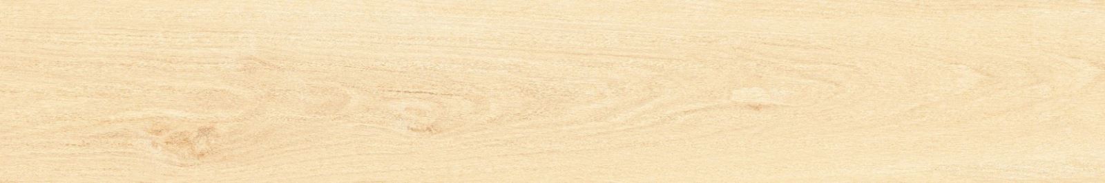 Gạch Đồng Tâm 20x120 kháng khuẩn 20120BANYAN002-H+ 2