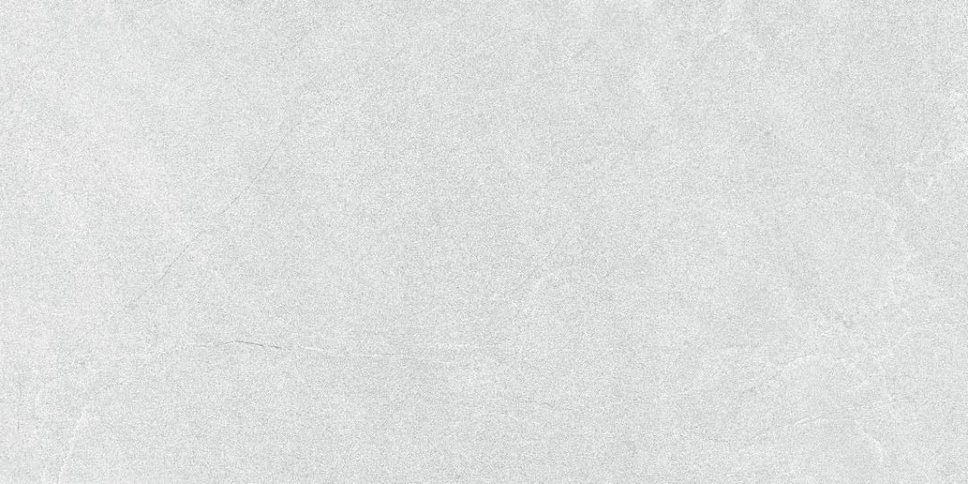 Gạch Đồng Tâm 40x80 kháng khuẩn 4080SAPA003-H+ 2