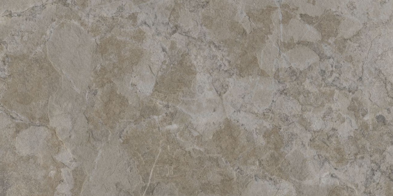 Gạch Đồng Tâm 40x80 kháng khuẩn 4080SAPA006-H+ 2