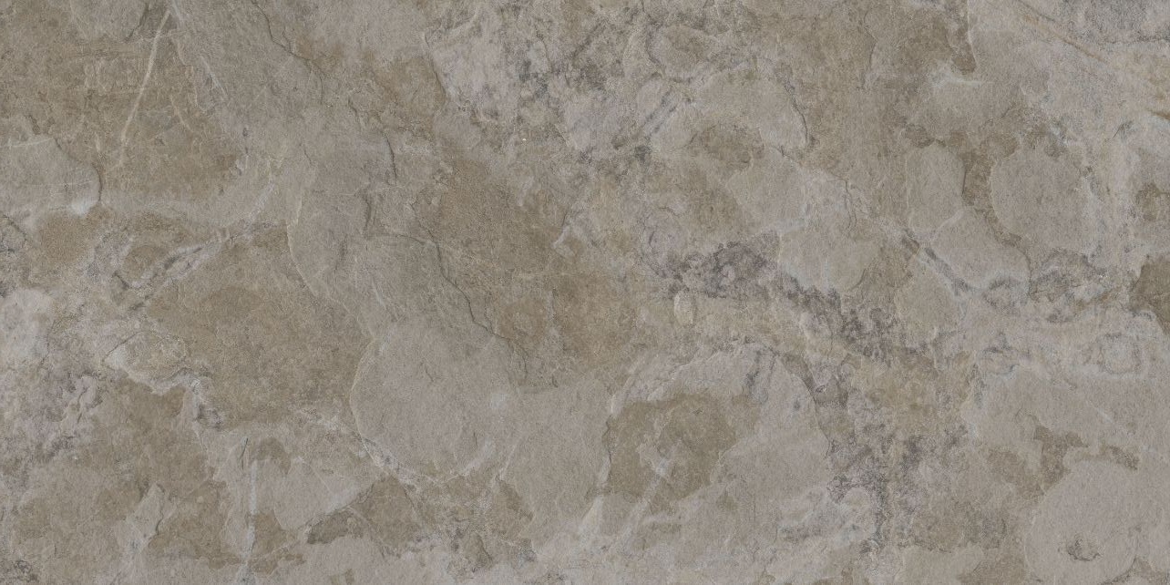 Gạch Đồng Tâm 40x80 kháng khuẩn 4080SAPA006-H+ 4
