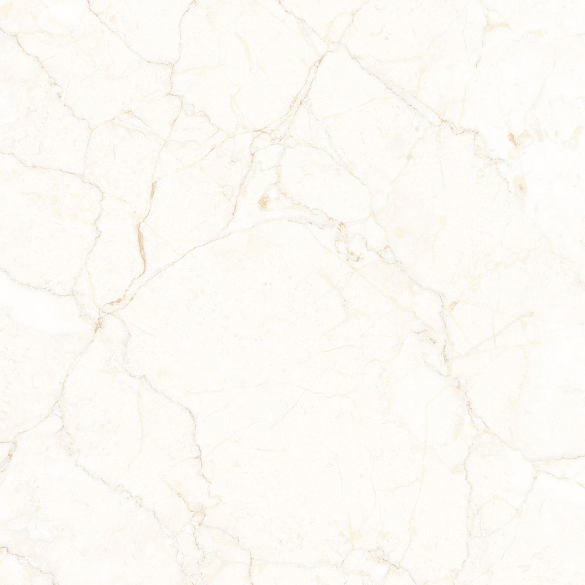 Gạch Đồng Tâm 60x60 Porcelain 6060VAMCODONG005-FP 2