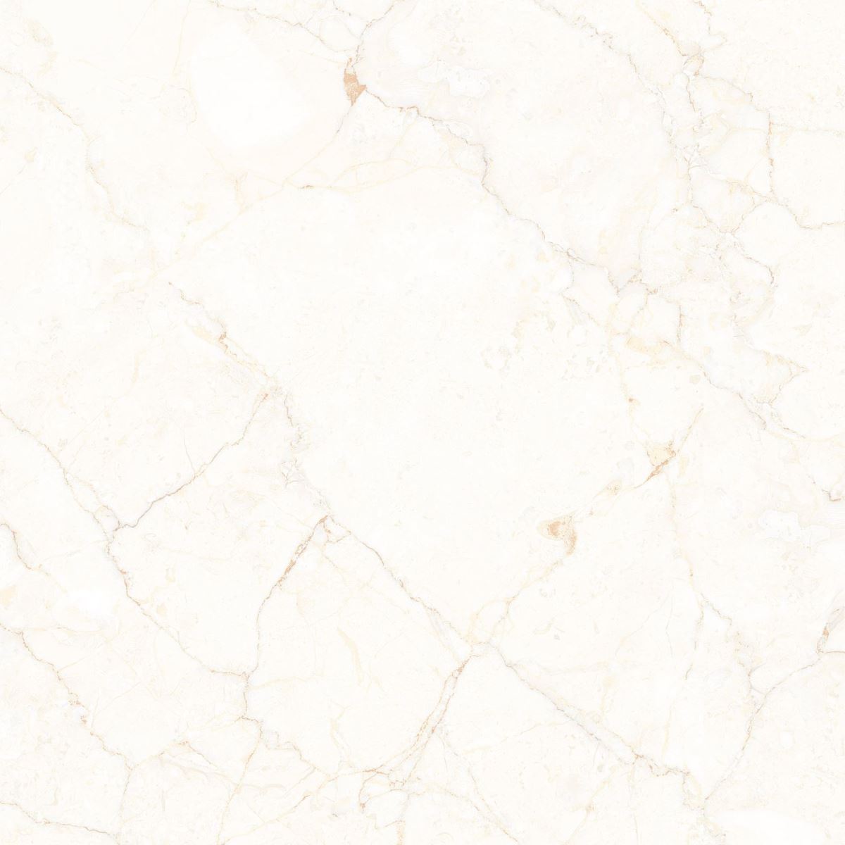 Gạch Đồng Tâm 60x60 Porcelain 6060VAMCODONG005-FP 3