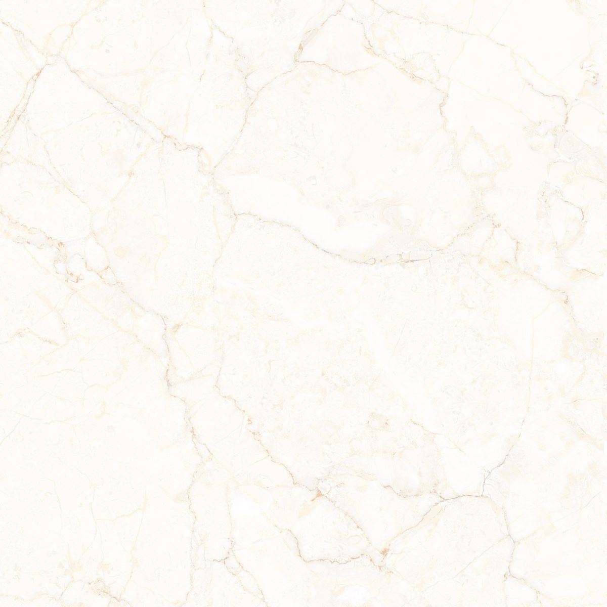 Gạch Đồng Tâm 60x60 Porcelain 6060VAMCODONG005-FP 4