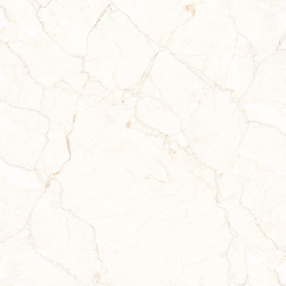 Gạch Đồng Tâm 60x60 Porcelain 6060VAMCODONG005-FP 5