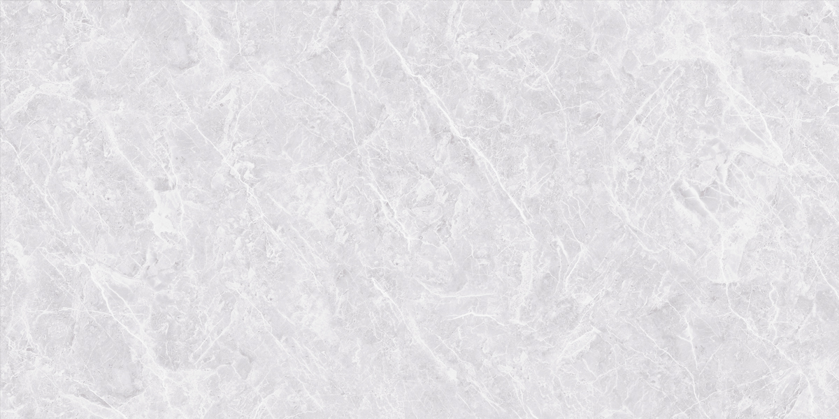 Gạch ốp lát 60x120 Ecotiles ECO-P-61201 f2